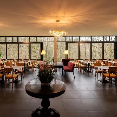 Parkhotel STEIGER Hohnstein-2
